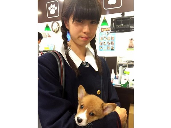 写真