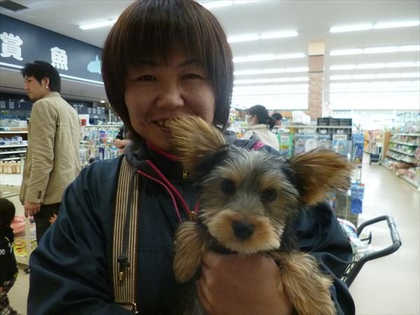 写真