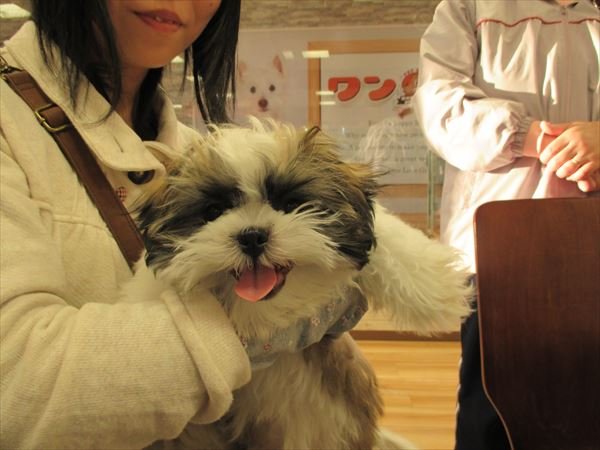 写真