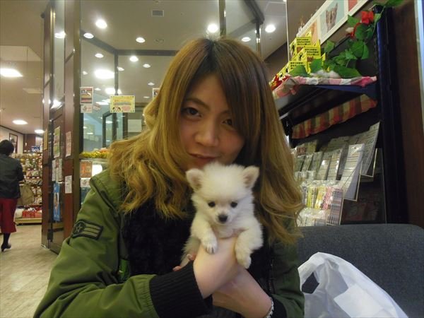 写真