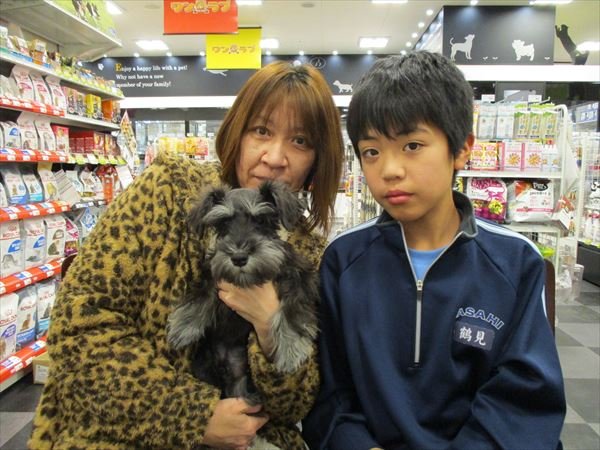 写真