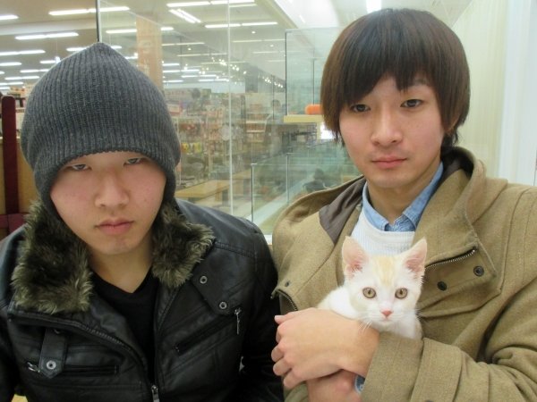 写真