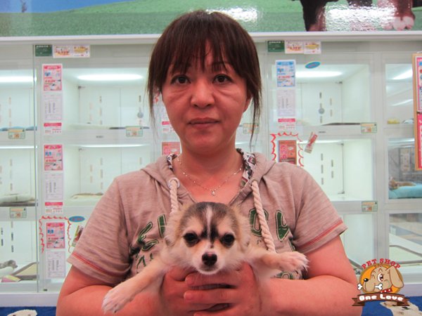 写真