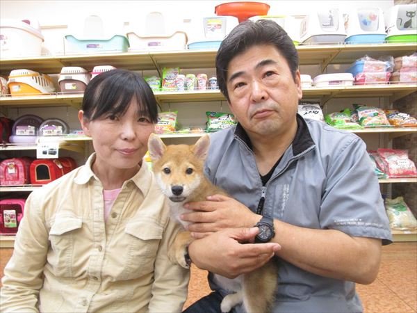 写真