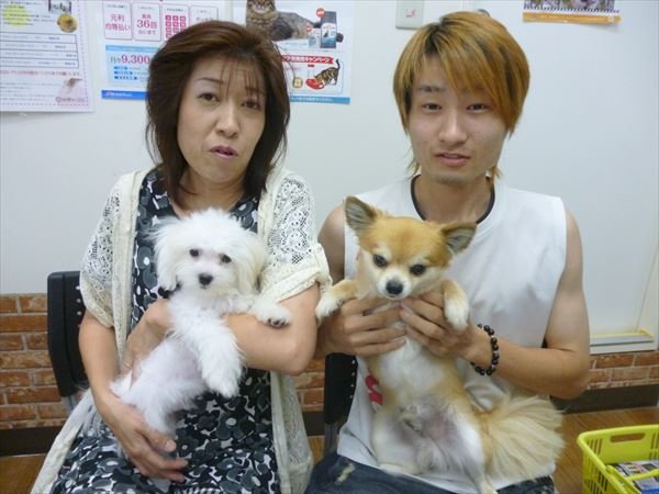 写真