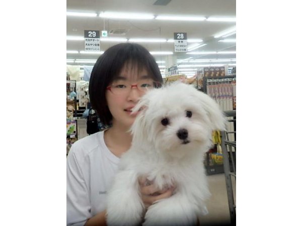 写真