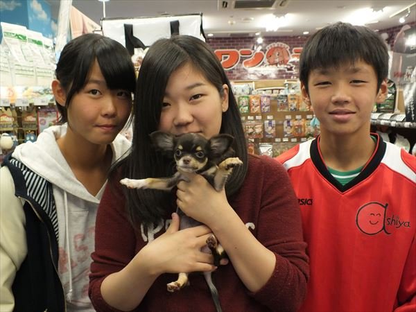 写真