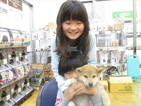 写真