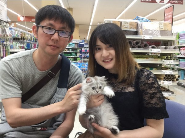 写真