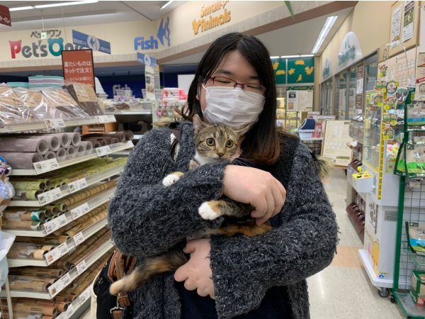 写真