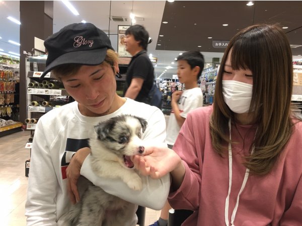 写真