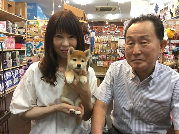 写真