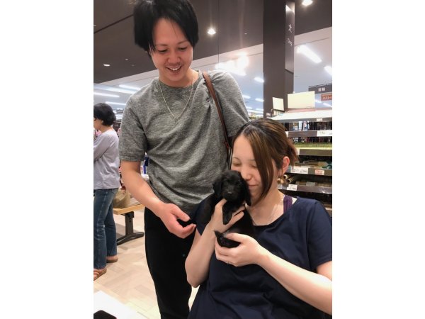 写真