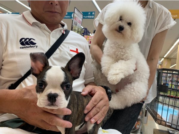 写真