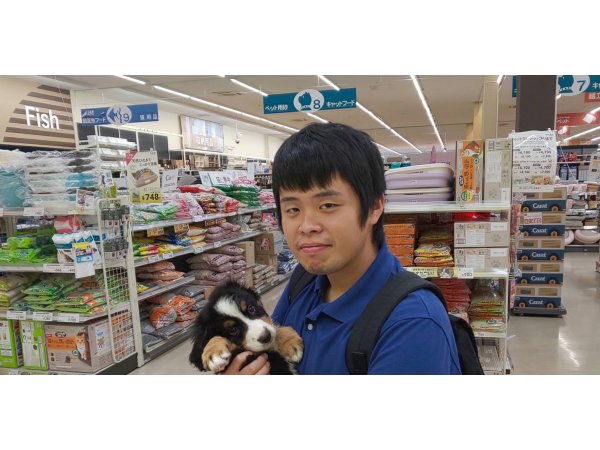 写真
