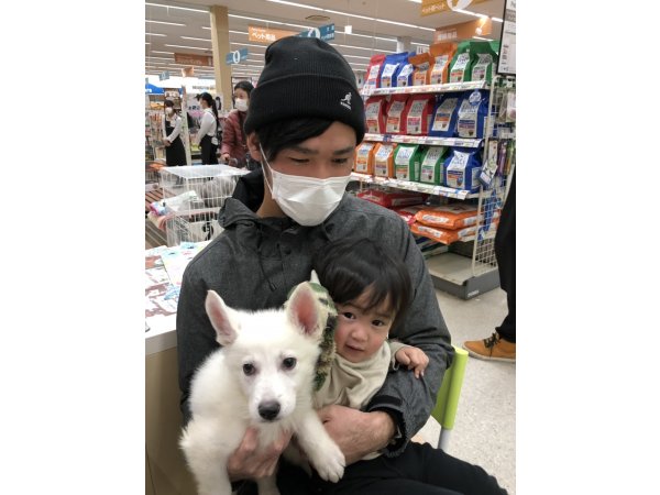 写真