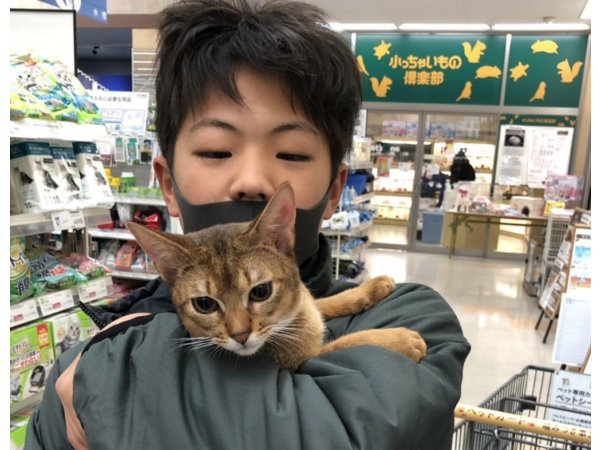 写真