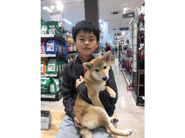 写真
