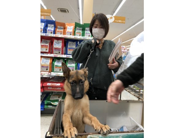 写真