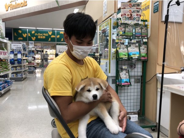写真