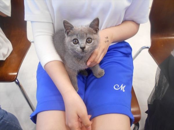 写真