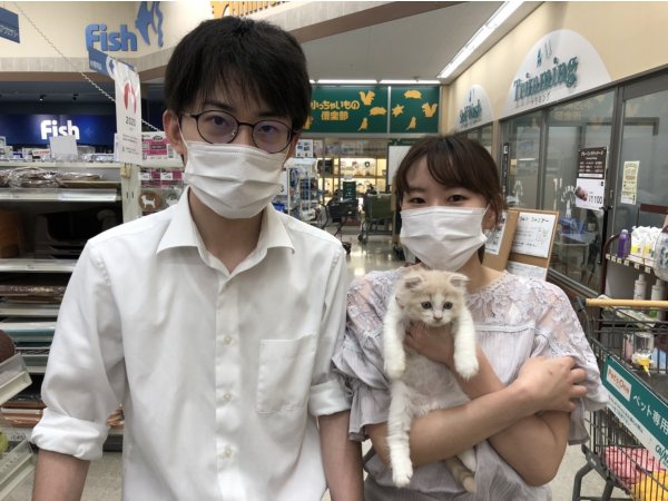 写真