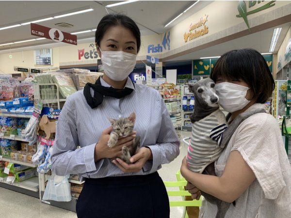 写真