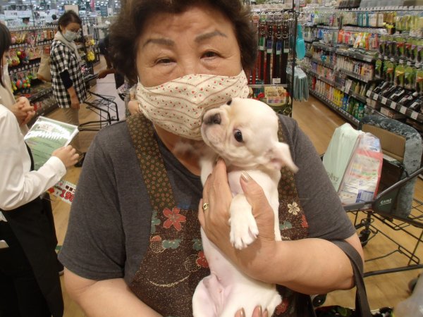 写真