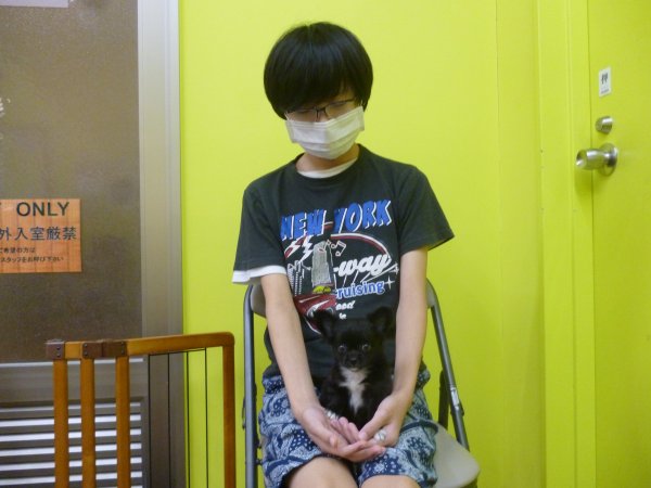 写真