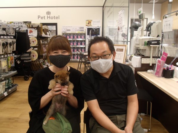 写真