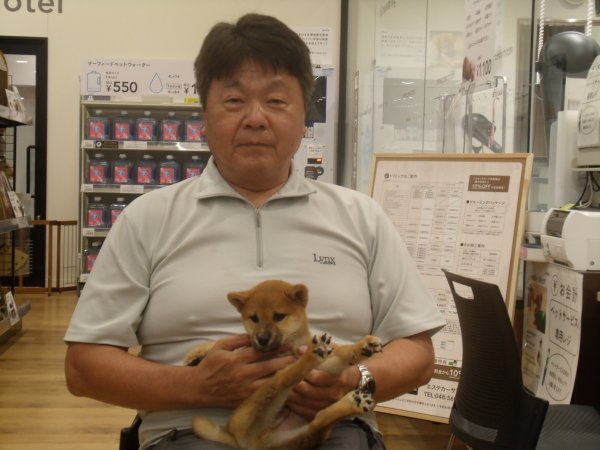 写真