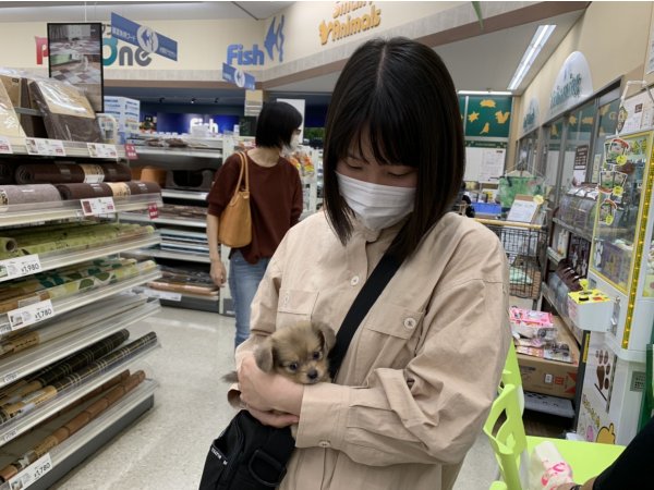 写真