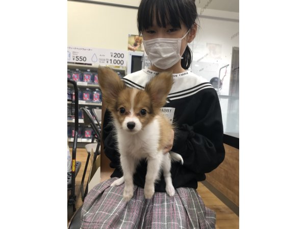 写真