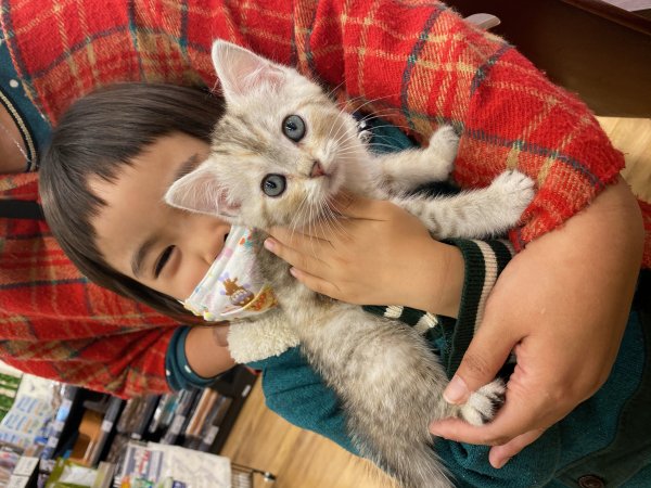 写真