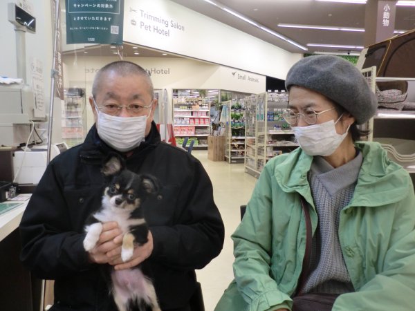 写真