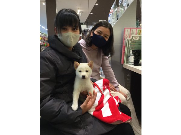 写真