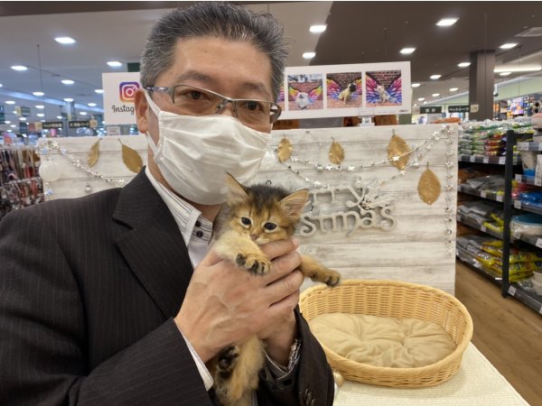 写真