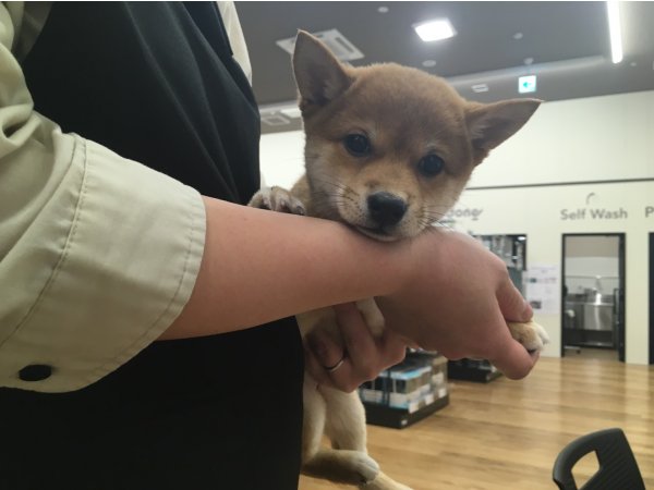 写真