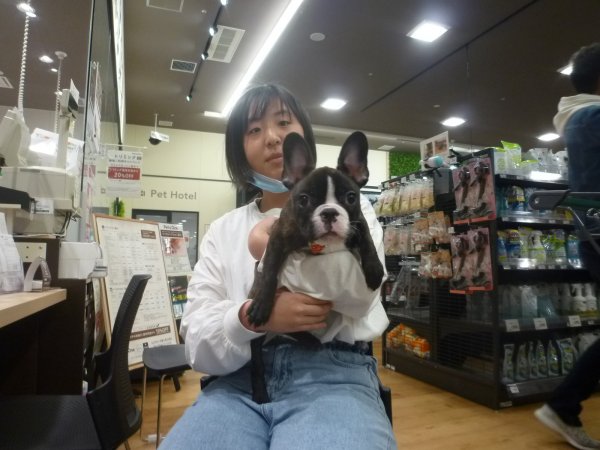 写真