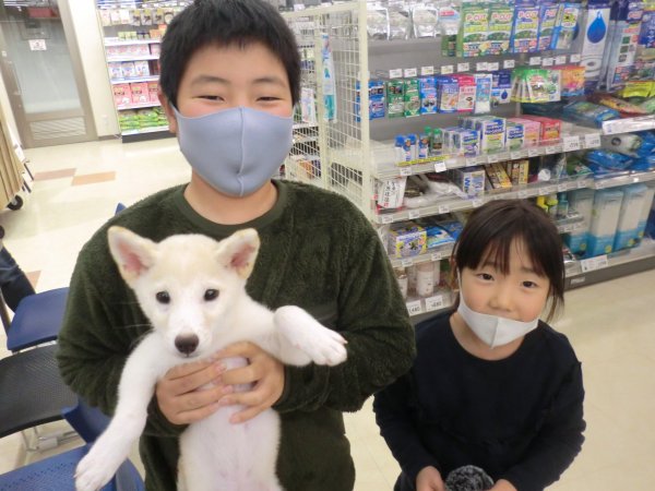 写真