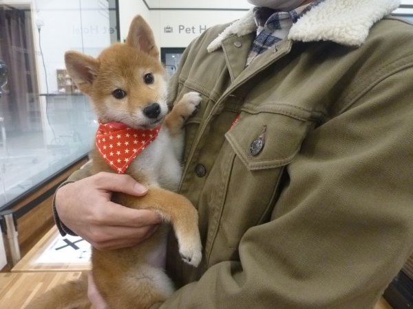 写真