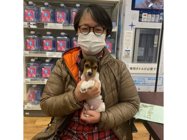 写真