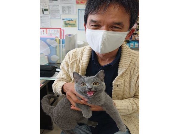 写真