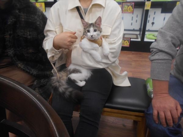 写真