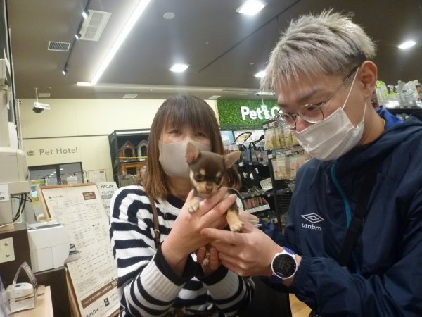 写真