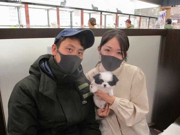 写真