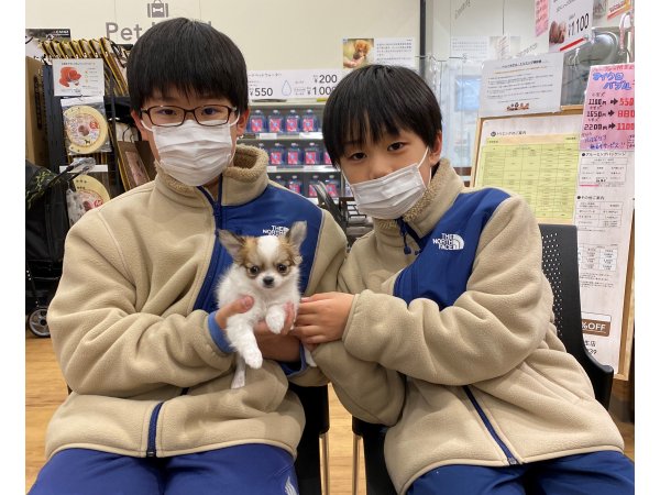 写真