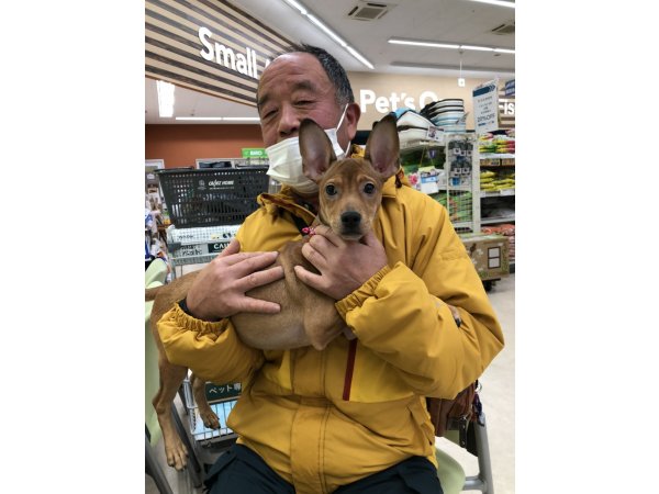 写真