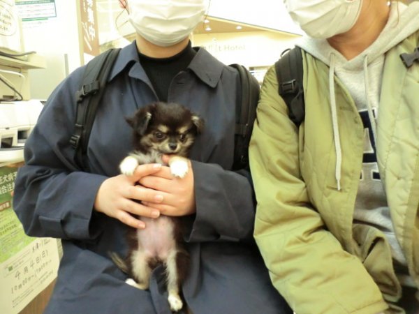 写真
