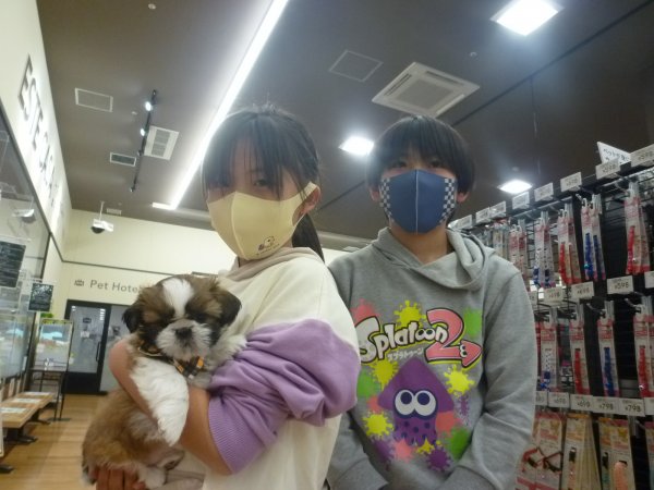 写真